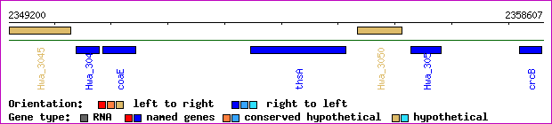 gene map