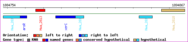 gene map