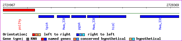 gene map
