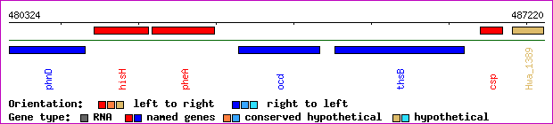 gene map