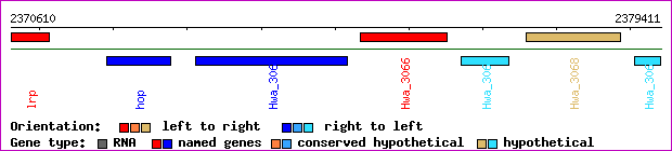 gene map