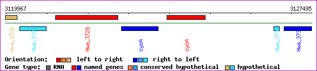 gene map