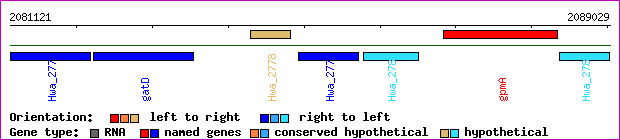 gene map