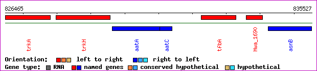 gene map