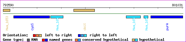 gene map