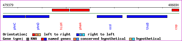 gene map