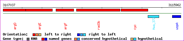 gene map