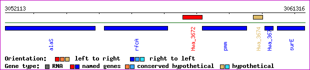 gene map