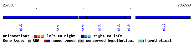 gene map