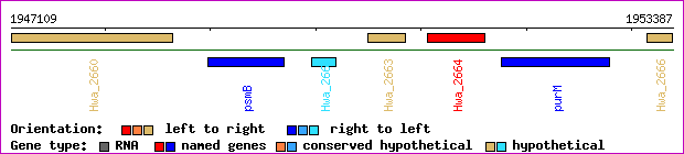 gene map