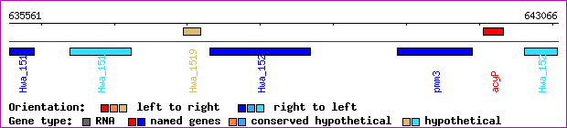 gene map