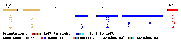 gene map