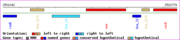 gene map
