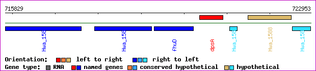 gene map