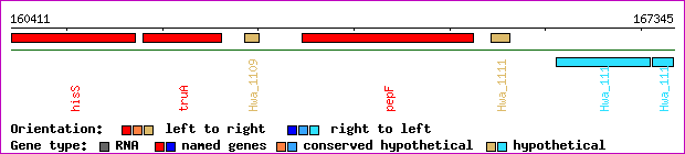 gene map