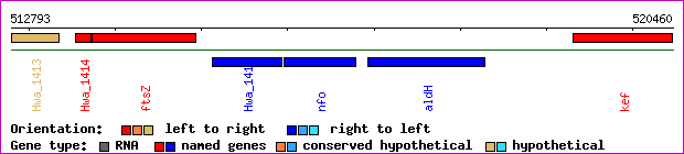 gene map