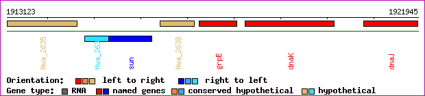gene map