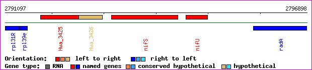 gene map