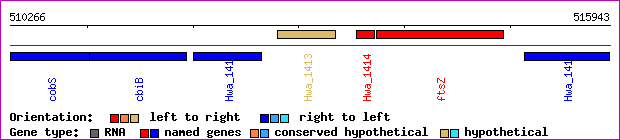 gene map