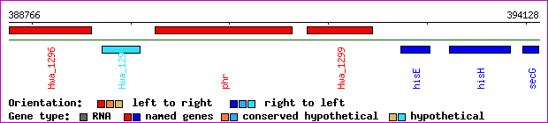 gene map