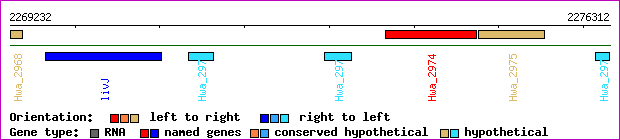 gene map