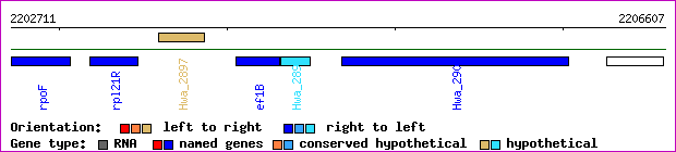 gene map