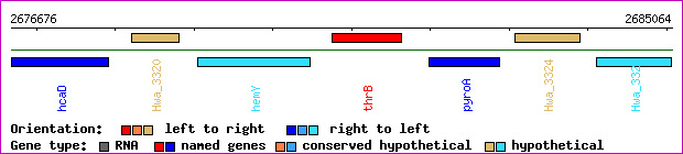 gene map