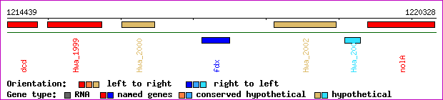 gene map