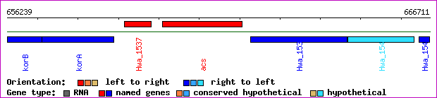 gene map