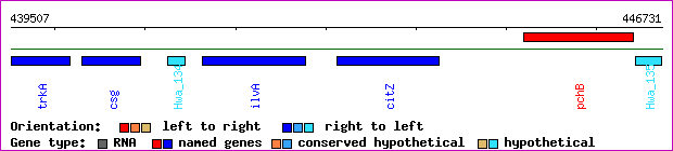 gene map