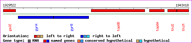 gene map