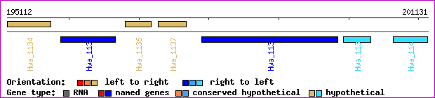 gene map