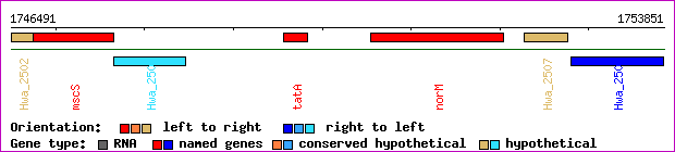 gene map