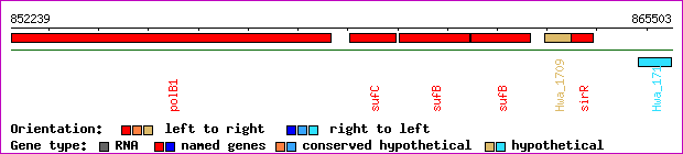 gene map