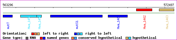 gene map
