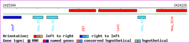 gene map