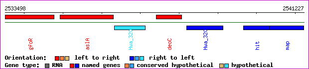 gene map