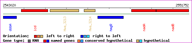 gene map