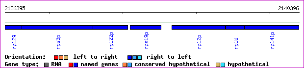 gene map