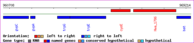 gene map