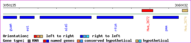 gene map