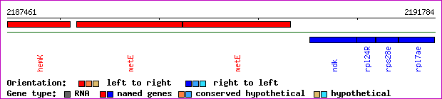 gene map