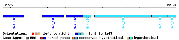gene map