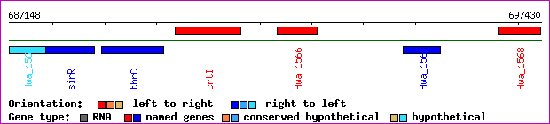 gene map