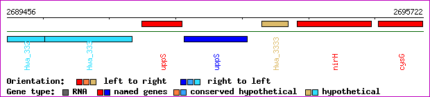 gene map