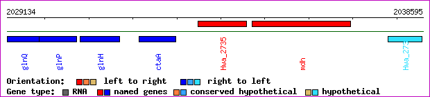 gene map
