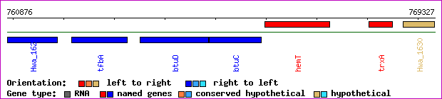 gene map