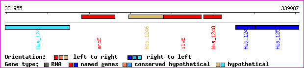 gene map