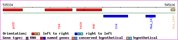 gene map