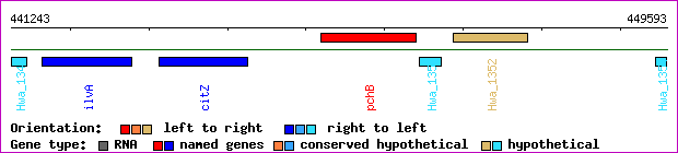 gene map